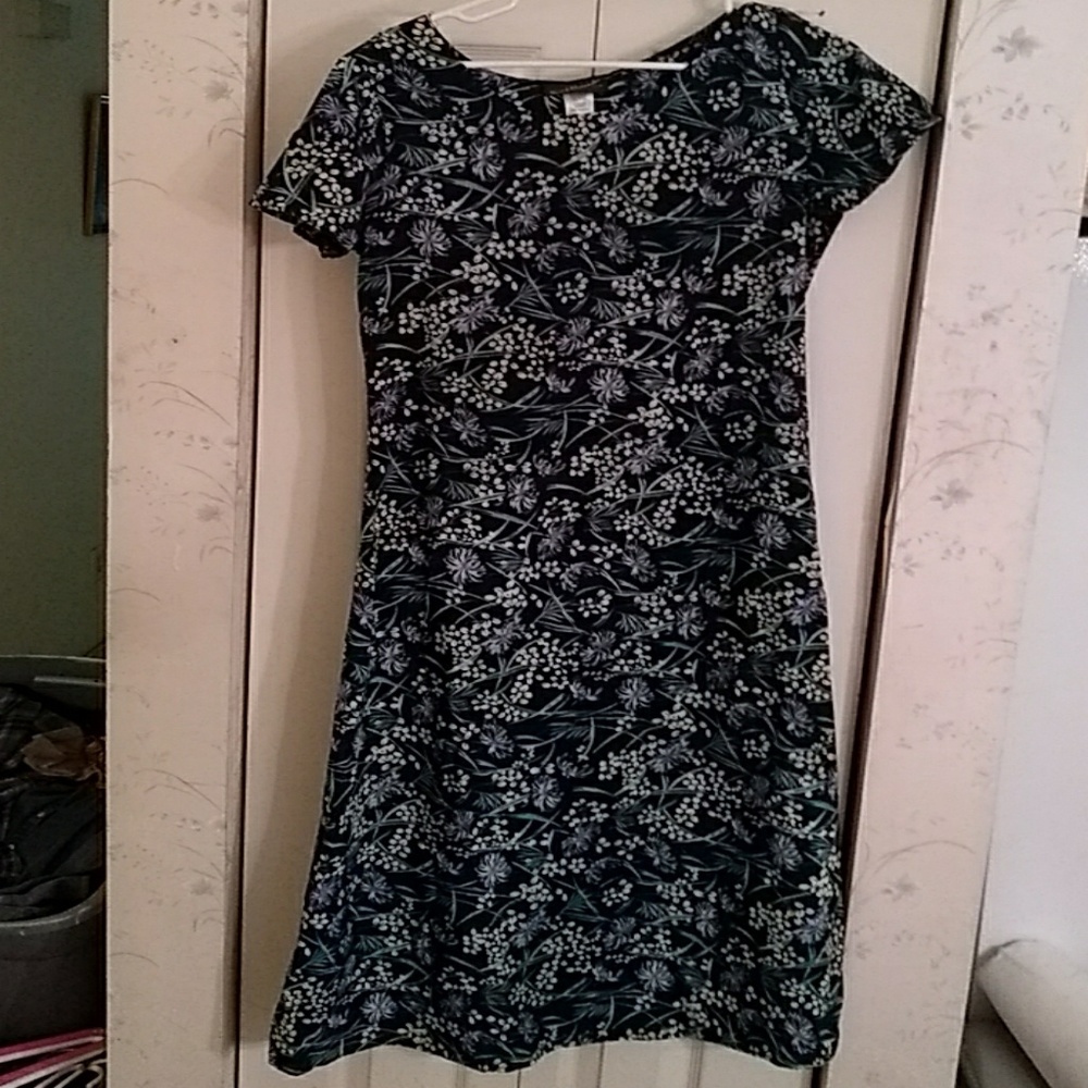 Vintage Long size large dress